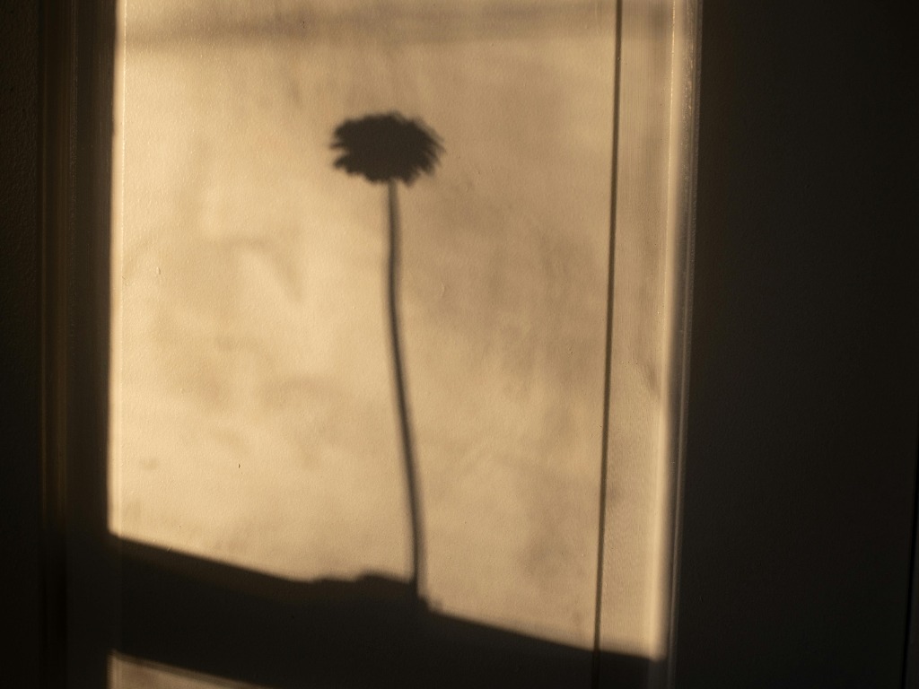  Blütenstaub der Zeit 